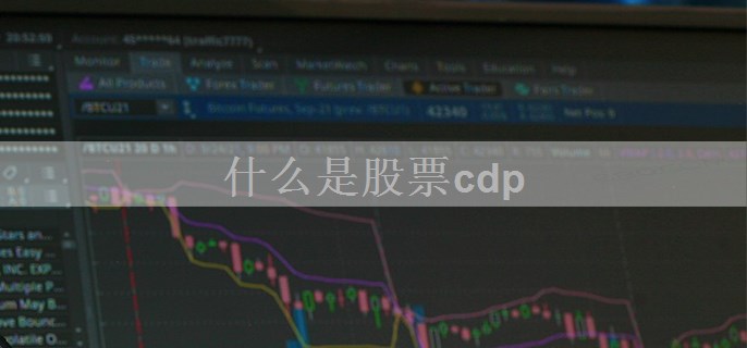 什么是股票cdp