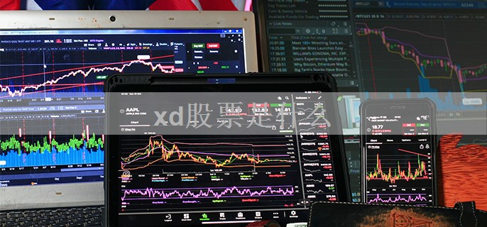 xd股票是什么