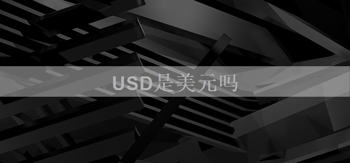 USD是美元吗