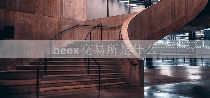 beex交易所是什么
